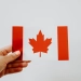 a person holding a canadian paper flag