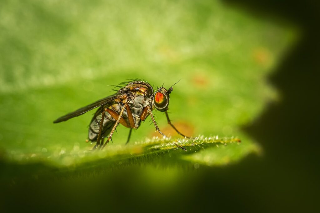 photo-1611764118257-ed3935bcfd75