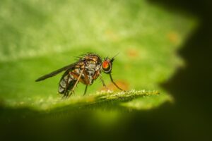 photo-1611764118257-ed3935bcfd75