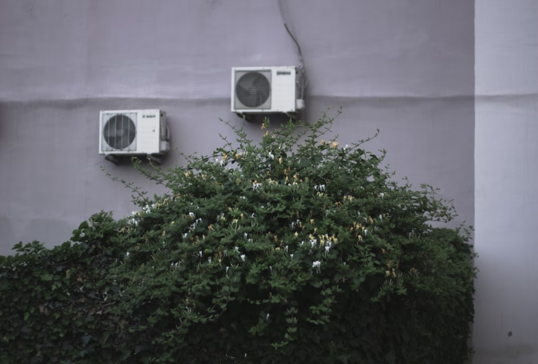 pasted image 0 (32)