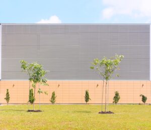 tree planting i the garden