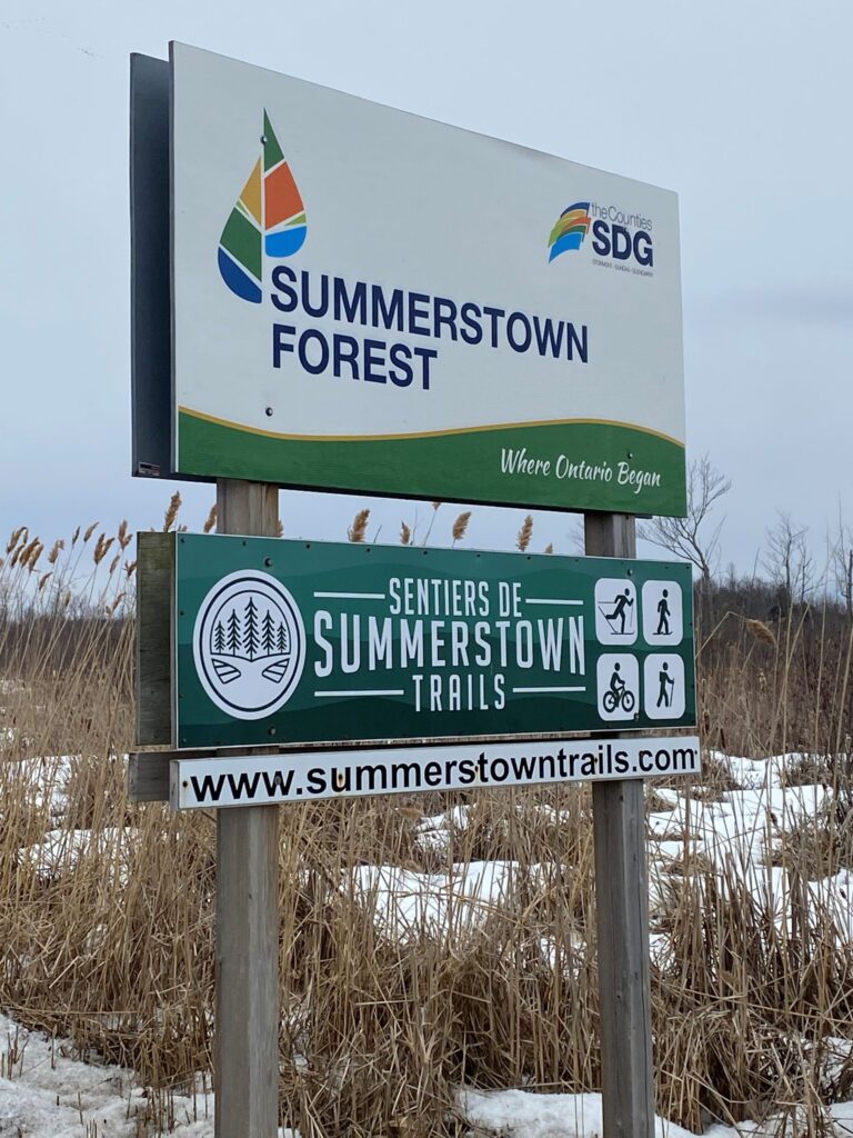 21 Reasons Why We Love South Glengarry Nature Trails The Seeker