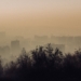 urban landscape in mist and trees silhouettes