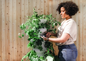 man in white and black stripe polo shirt and blue denim jeans holding smartphone