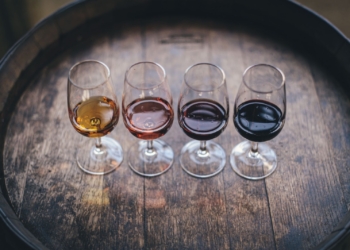 Top 6 Things Every Wine Lover Should Know