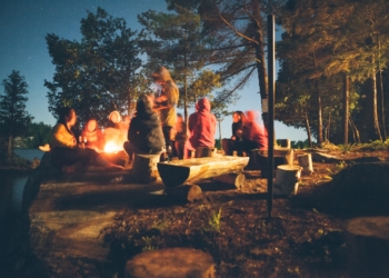 group of people near bonfire near trees during nighttime