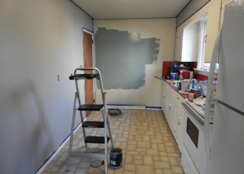 DIY Kitchen Remodel vs Hiring a Pro: Which is the Best Route?