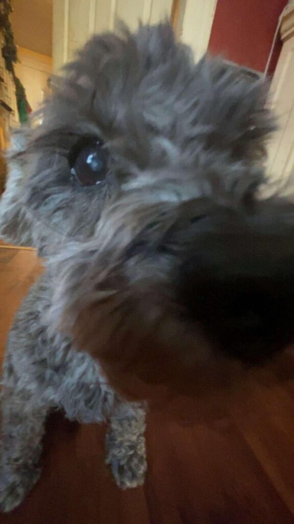 416748968_383641034335795_2543037941374838765_n