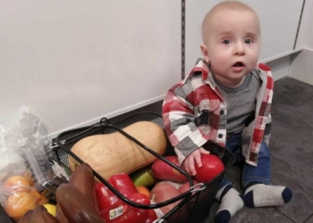 OUT and ABOUT with Seeker Chick Mai-Liis – checking out this young man’s Arks Harvest Haul