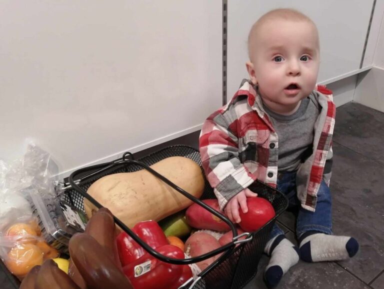 Julien Groceries