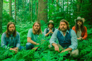 240320_Sheepdogs_600x400