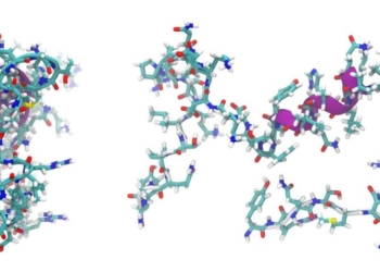 adrenomedullin, peptide, molecule