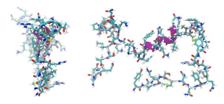 adrenomedullin, peptide, molecule