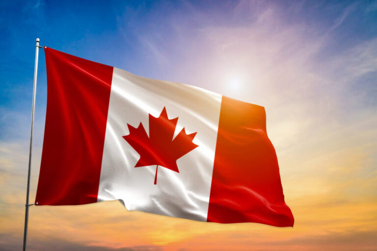 Canada national flag waving on sunset sky with flying birds. Canada day