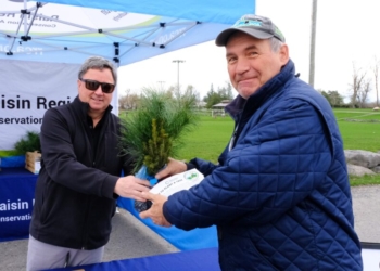 SNC and RRCA Giving 10,000 Free Trees to Eastern Ontario Residents