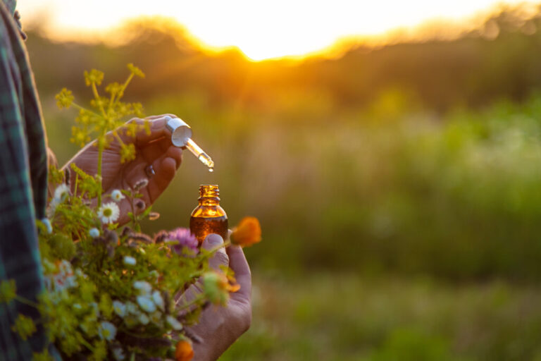A man collects medicinal herbs in a field. Selective focus.