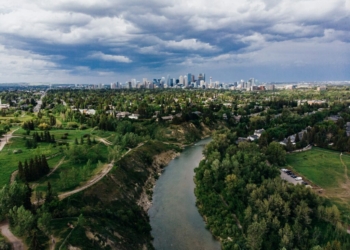 aerial view of city buildings and trees under cloudy sky during daytime