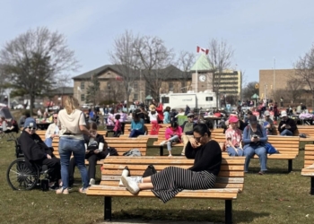 Day Turns to Night: Cornwall Witnesses the Marvel of Totality