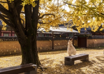 Exploring Jeju Island: A Complete Travel Guide to South Korea’s Gem