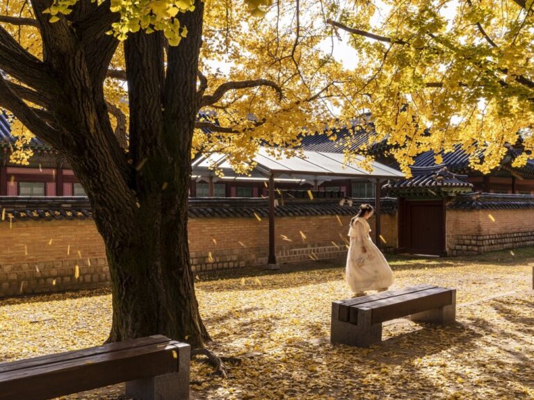 gyeongbok-palace-5771324_1280