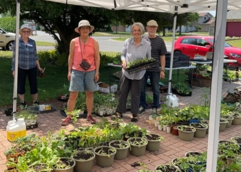 Incredible Edibles free plant giveaway happening Saturday, June 1 – 11 am to 1pm.