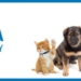 Looking for a furry friend? The Ontario SPCA is hosting an adoption event – From Friday, May 31 to Saturday, June 1