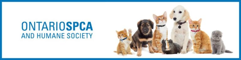 ospca adopting event