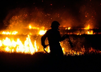silhouette of man standing on grass field during night time