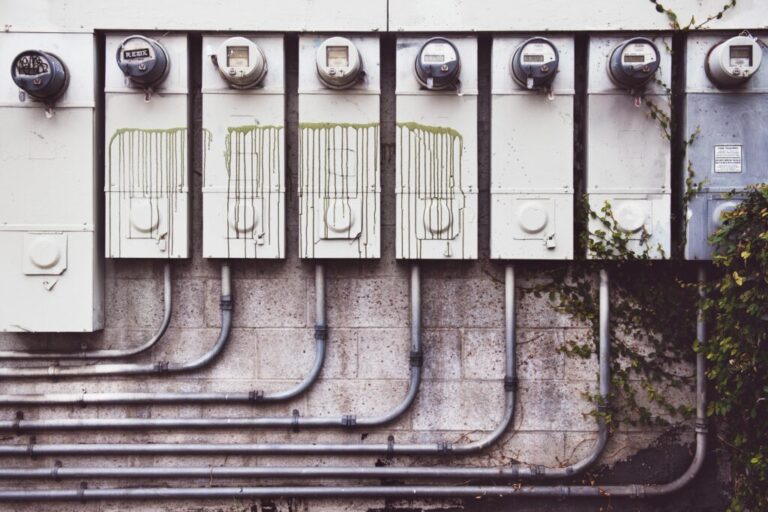 pexels-timmossholder-942316