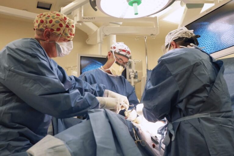 CCH Surgical Photo - 2024 - Provided by CCH
