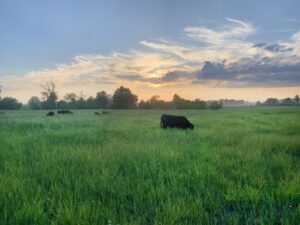Media Release_Farmers Invited to Agri-Action Land Stewardship Twilight Tour