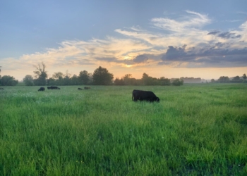 Farmers Invited to Agri-Action Land Stewardship Twilight Tour