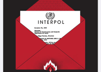 Financial Crimes tracked by Interpol: How to Combat Them