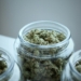 clear glass jar filled with kush