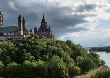 green trees near brown concrete building under white clouds during daytime