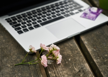 computer, beautiful flowers, flower