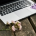 computer, beautiful flowers, flower