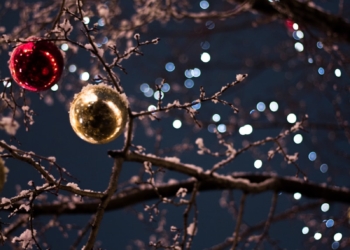 selective focus photography of baubles