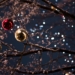 selective focus photography of baubles