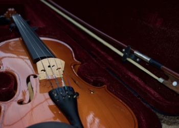 violin, velvet, bow