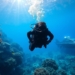What is The Purpose of A Police Diver
