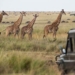 Africa Travel Vaccines: What You Need to Know Before Your Trip