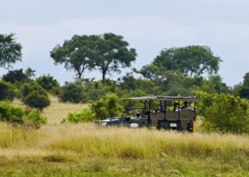 Clothing Checklist: What to Wear on an African Safari