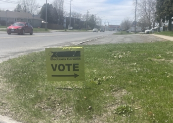 Federal Election 2025: Our Predictions