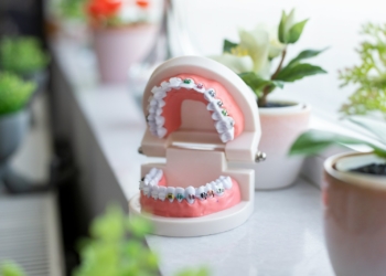 a toothbrush holder sitting on top of a counter next to a potted plant