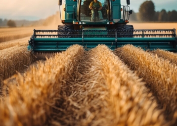 A Beginner’s Guide To Farming Equipment And Supplies