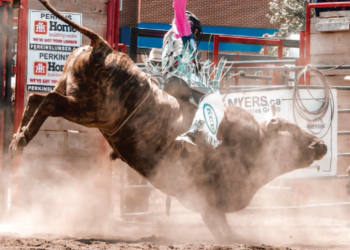 New Festival Coming to Williamstown in July