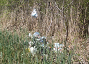 LTE: Garbage Disaster.  If this is success, I wouldn’t want to see failure!