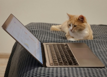 Common Internet Safety Mistakes and How to Avoid Them