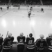 ice hockey players on ice hockey field